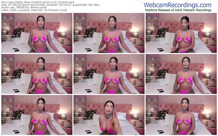 cams-aaris-12-01-2024-10-16-40