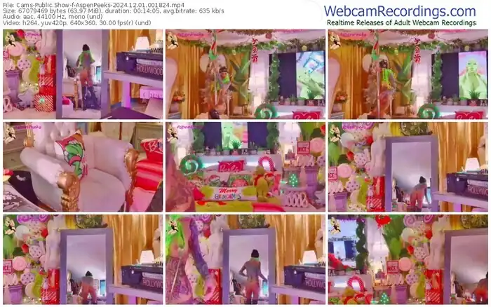 cams-aspenpeeks-12-01-2024-00-18-24