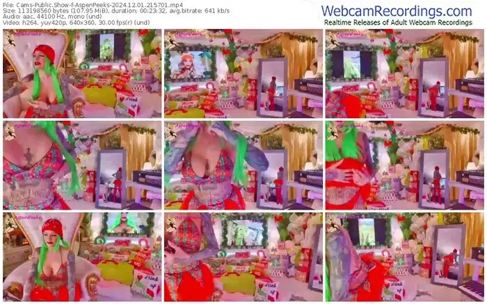 cams-aspenpeeks-12-01-2024-21-57-01