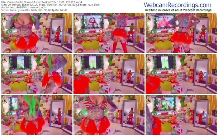 cams-aspenpeeks-12-01-2024-22-32-23