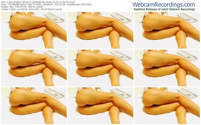 cams-carina008-12-01-2024-21-51-31