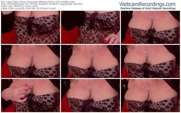 cams-experiencedalana-12-01-2024-00-28-16