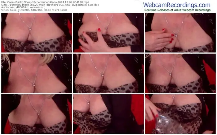 cams-experiencedalana-12-01-2024-00-41-28