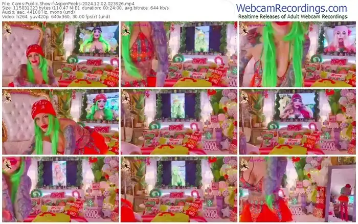 cams-aspenpeeks-12-02-2024-02-39-26