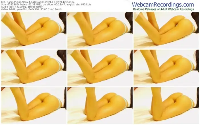 cams-carina008-12-02-2024-21-47-55