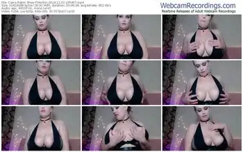 cams-merllin-12-02-2024-19-54-07