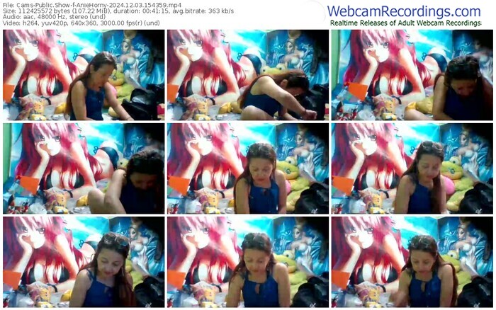 cams-aniehorny-12-03-2024-15-43-59