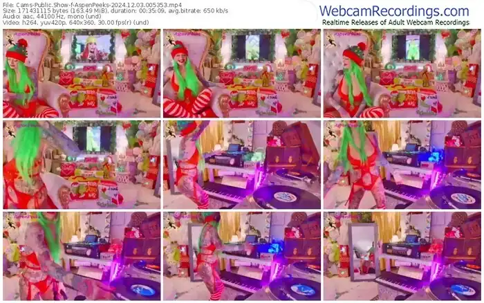 cams-aspenpeeks-12-03-2024-00-53-53