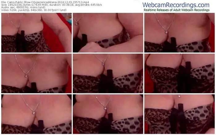 cams-experiencedalana-12-03-2024-23-57-13