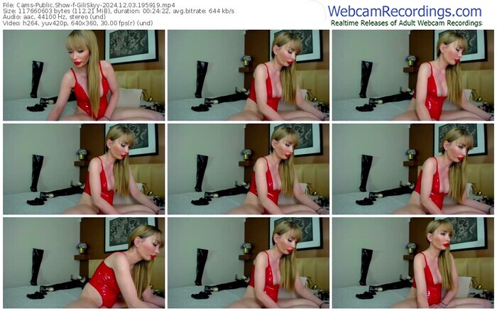 cams-giliskyy-12-03-2024-19-59-19