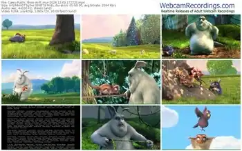 cams-ff_mur-12-03-2024-17-22-29