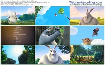 cams-ff_mur-12-03-2024-18-22-36