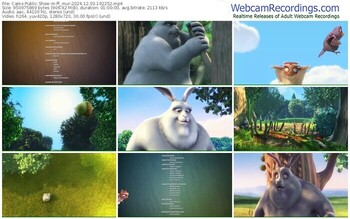 cams-ff_mur-12-03-2024-19-22-52