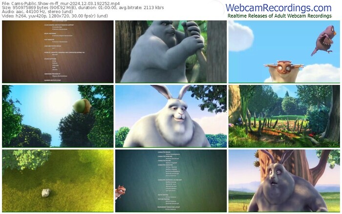cams-ff_mur-12-03-2024-19-22-52