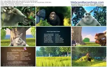 cams-ff_mur-12-03-2024-20-22-55