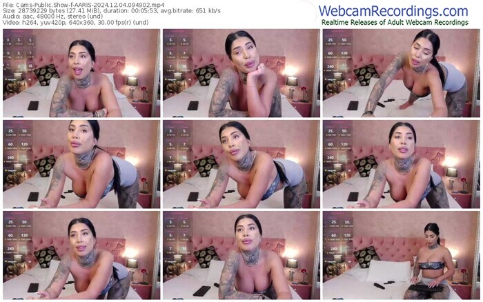 cams-aaris-12-04-2024-09-49-02