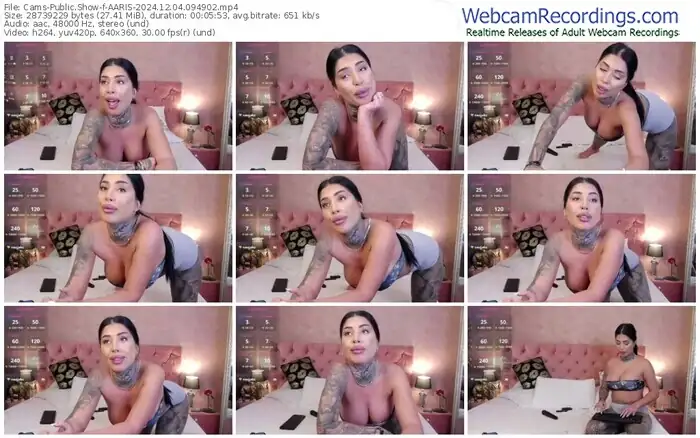 cams-aaris-12-04-2024-09-49-02