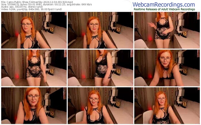 cams-almazsky-12-04-2024-00-13-18