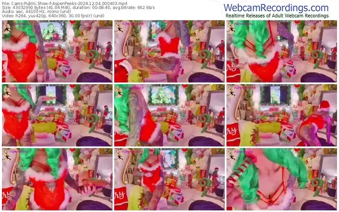 cams-aspenpeeks-12-04-2024-00-04-03