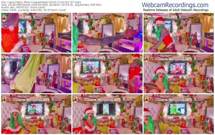 cams-aspenpeeks-12-04-2024-02-17-07