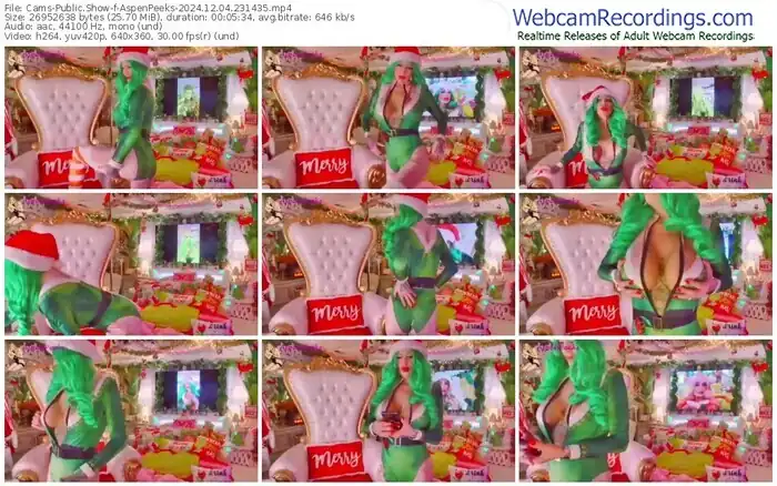 cams-aspenpeeks-12-04-2024-23-14-35