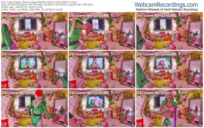 cams-aspenpeeks-12-04-2024-23-50-17