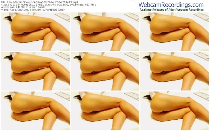 cams-carina008-12-04-2024-21-44-13