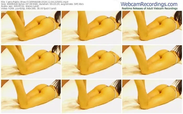 cams-carina008-12-04-2024-22-59-51