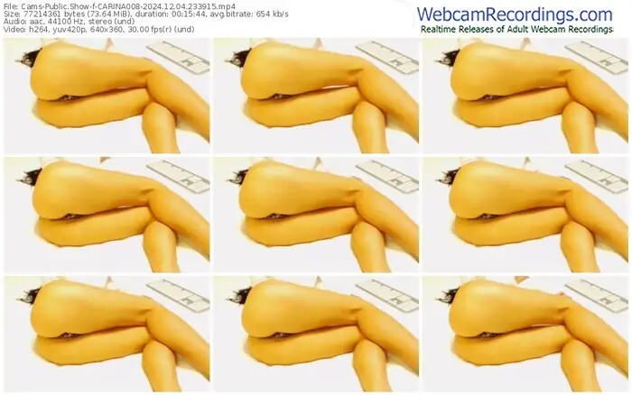 cams-carina008-12-04-2024-23-39-15