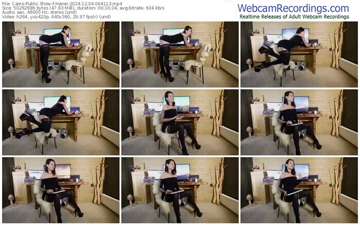 cams-hanei-12-04-2024-06-41-13
