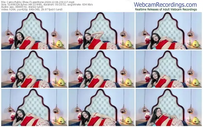 cams-lasestone-12-04-2024-23-11-17