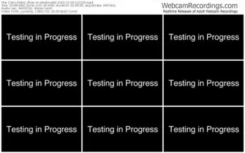 cams-atestmodel-12-04-2024-22-22-23