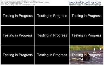 cams-atestmodel-12-04-2024-23-22-43