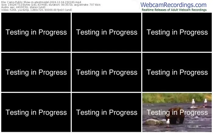 cams-atestmodel-12-04-2024-23-22-43