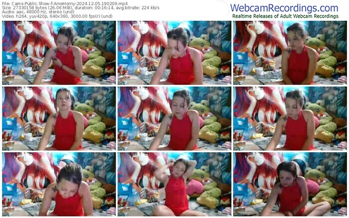 cams-aniehorny-12-05-2024-19-02-09