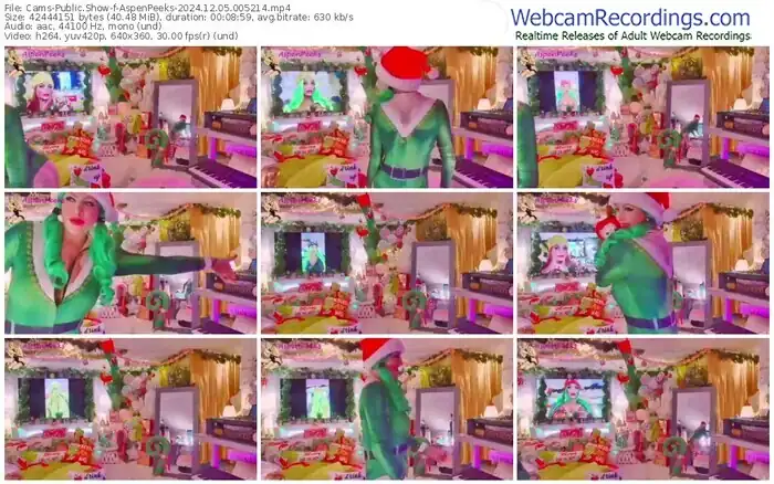 cams-aspenpeeks-12-05-2024-00-52-14