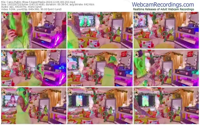 cams-aspenpeeks-12-06-2024-00-12-32