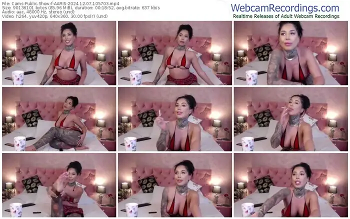 cams-aaris-12-07-2024-10-57-03