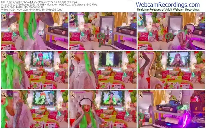 cams-aspenpeeks-12-07-2024-00-10-22