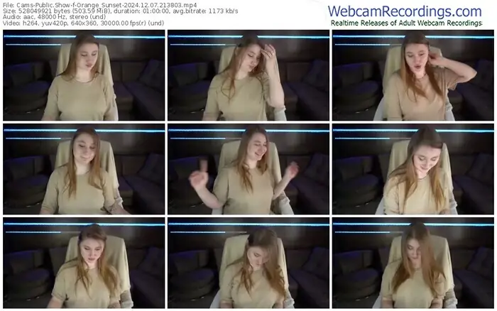 cams-orange_sunset-12-07-2024-21-38-03