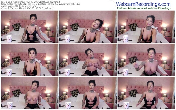 cams-aaris-12-08-2024-09-08-20