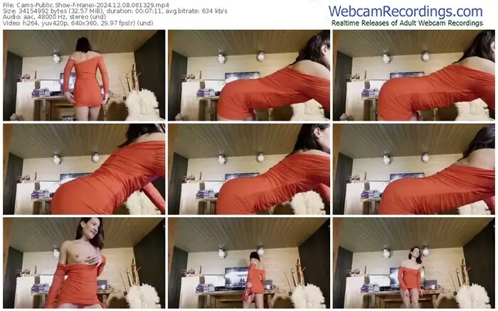 cams-hanei-12-08-2024-06-13-29