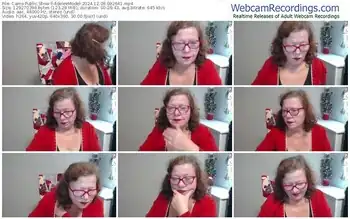 cams-adeleemodel-12-09-2024-09-26-41