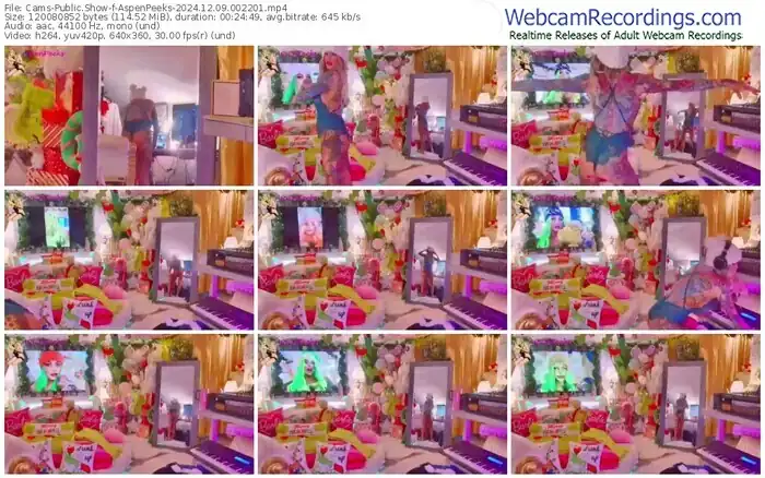 cams-aspenpeeks-12-09-2024-00-22-01