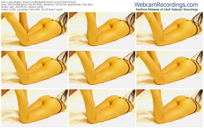 cams-carina008-12-09-2024-22-19-23