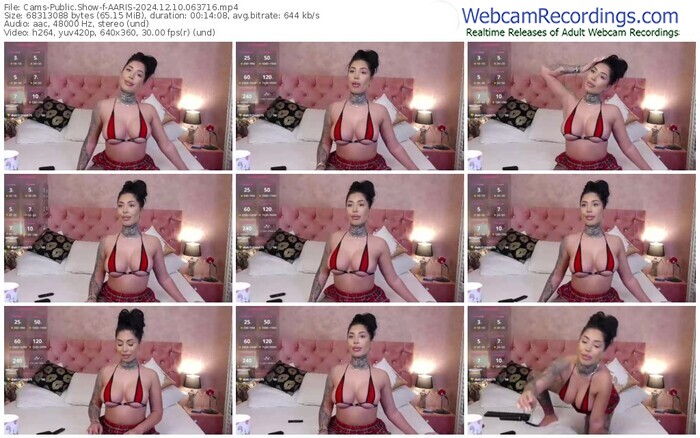 cams-aaris-12-10-2024-06-37-16