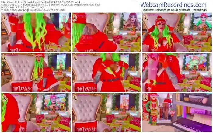 cams-aspenpeeks-12-10-2024-00-50-33