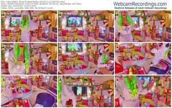 cams-aspenpeeks-12-10-2024-23-07-02