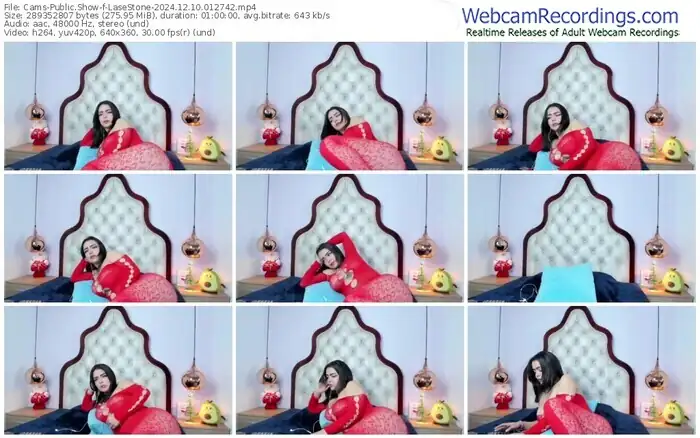 cams-lasestone-12-10-2024-01-27-42