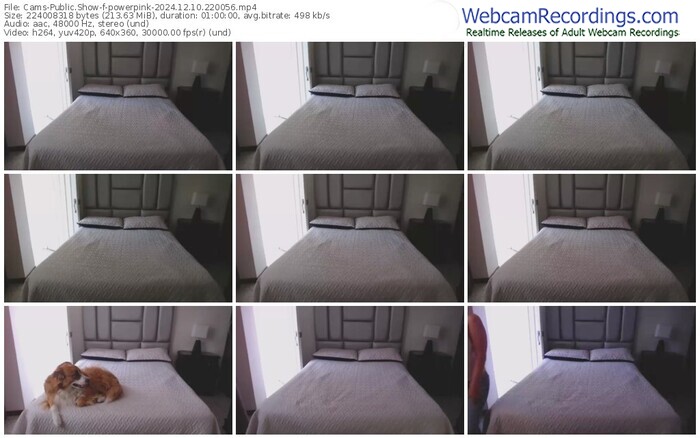 cams-powerpink-12-10-2024-22-00-56